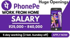 PhonePe Careers Freshers Can Apply for WFH Jobs