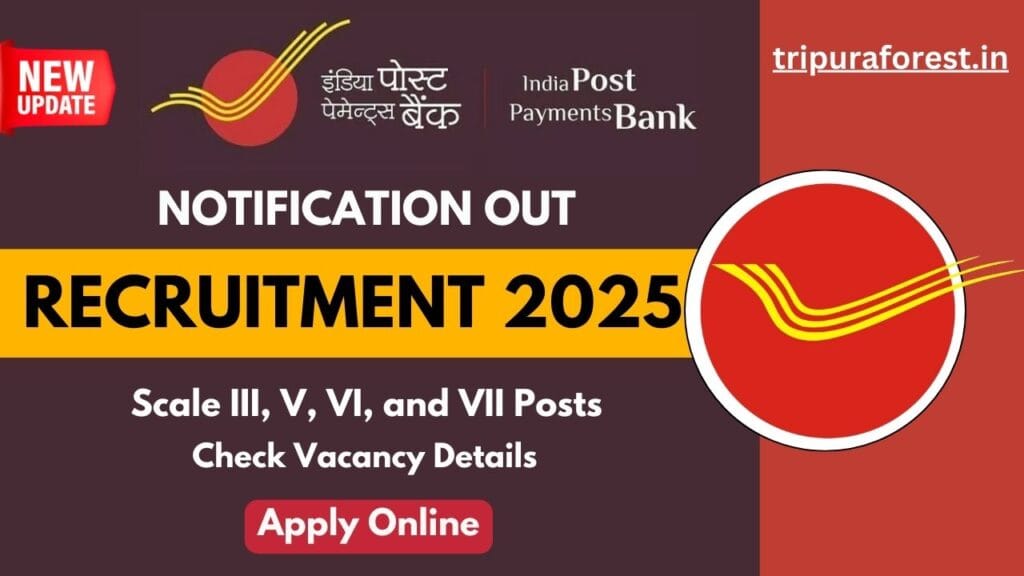 IPPB Recruitment 2025 Apply for Various Scale III, V, VI, and VII Posts, Check Vacancy Details